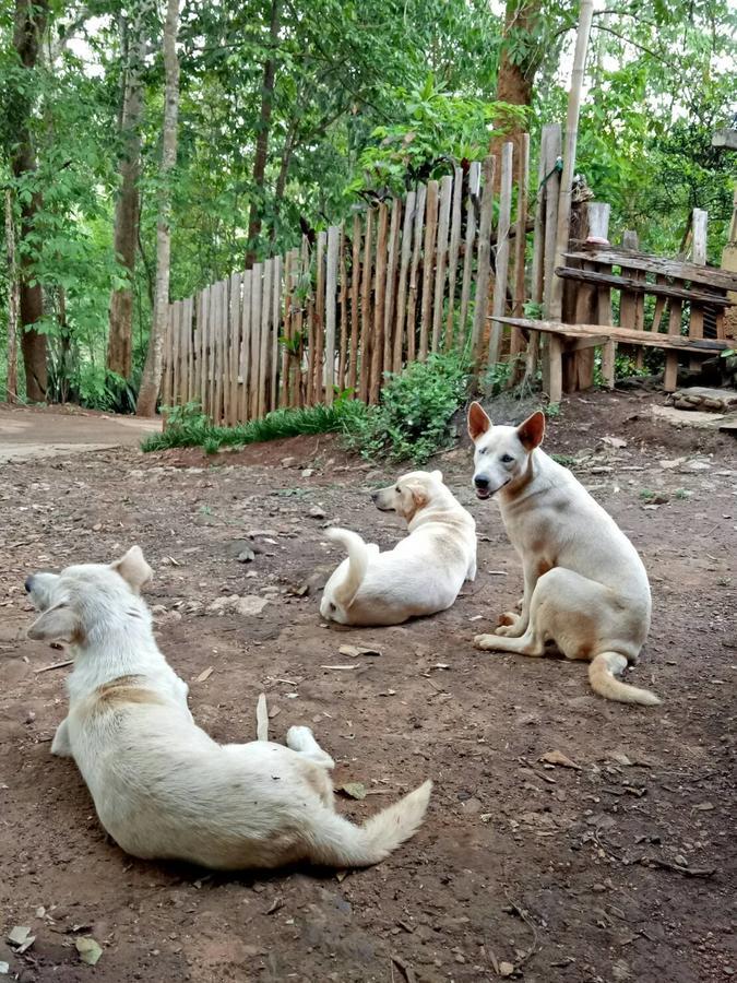 Cave Lodge Pang Mapha Dış mekan fotoğraf